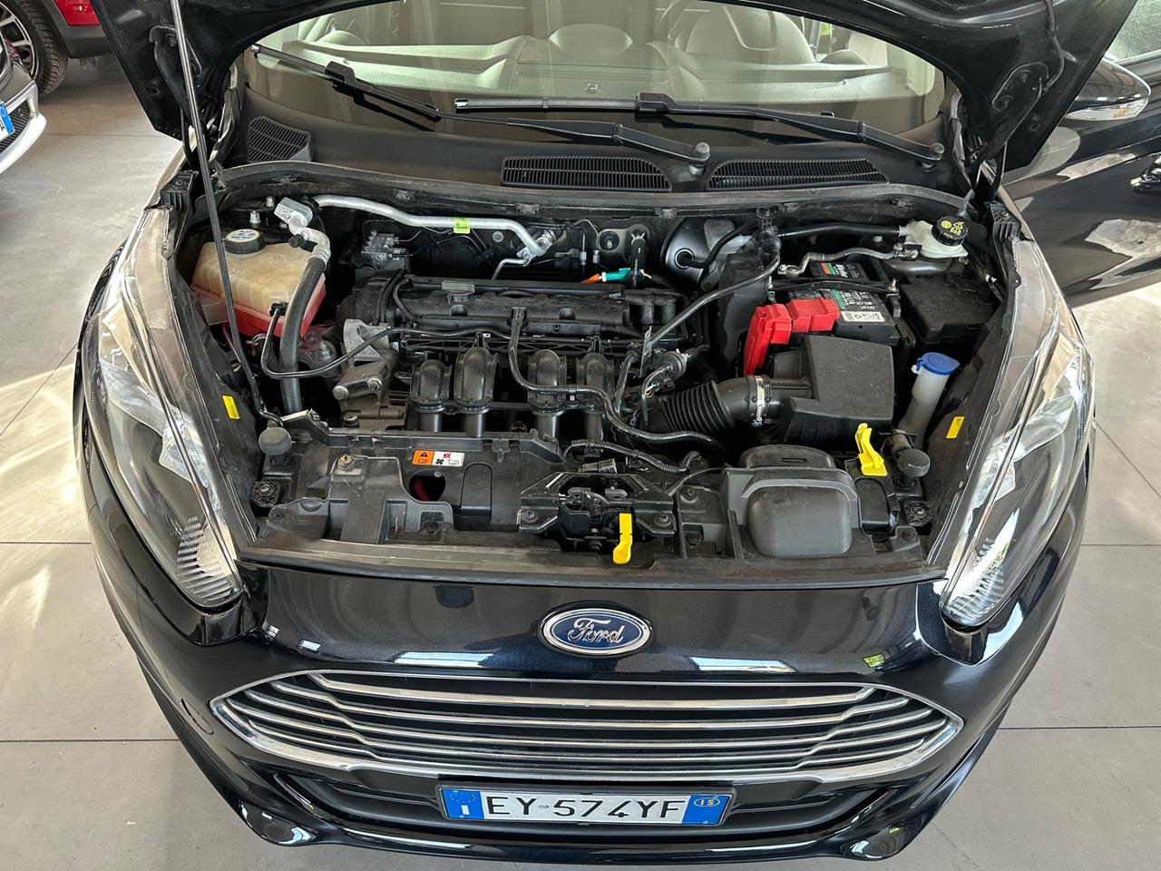Ford Fiesta 1.2 60CV 5 porte Black & White Edition
