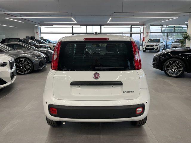 FIAT Pandina 1.0 Hybrid Icon KM0 MY26