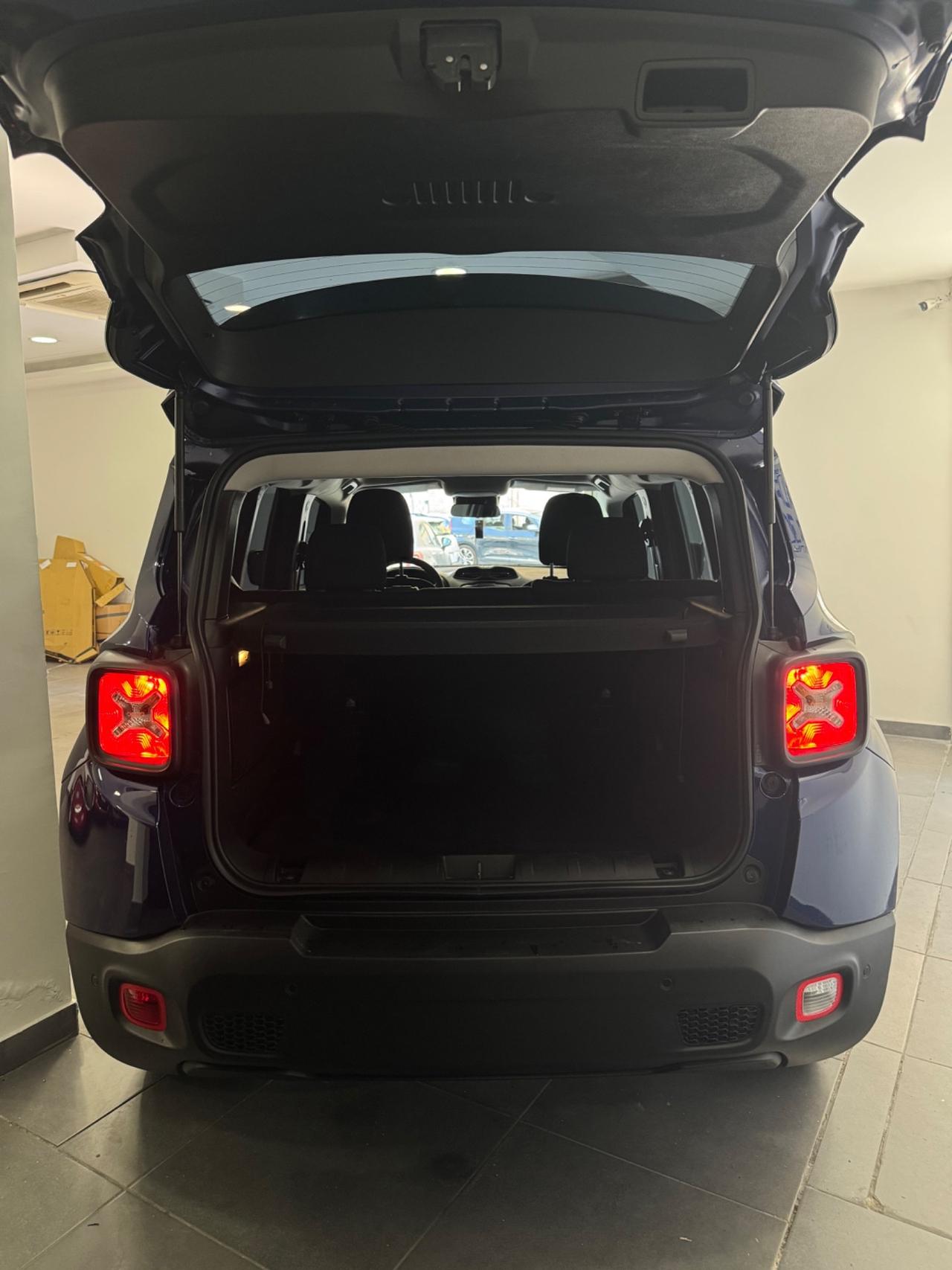 Jeep Renegade 1.6 Mjt 120 CV Longitude