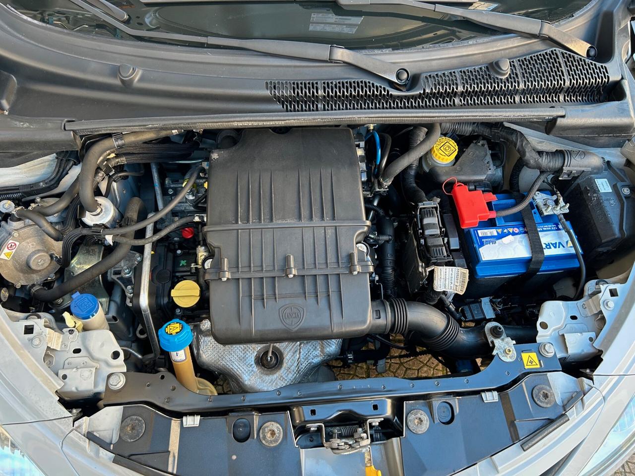 Lancia Ypsilon 1.2 GPL 69cv MYA ECOCHIC