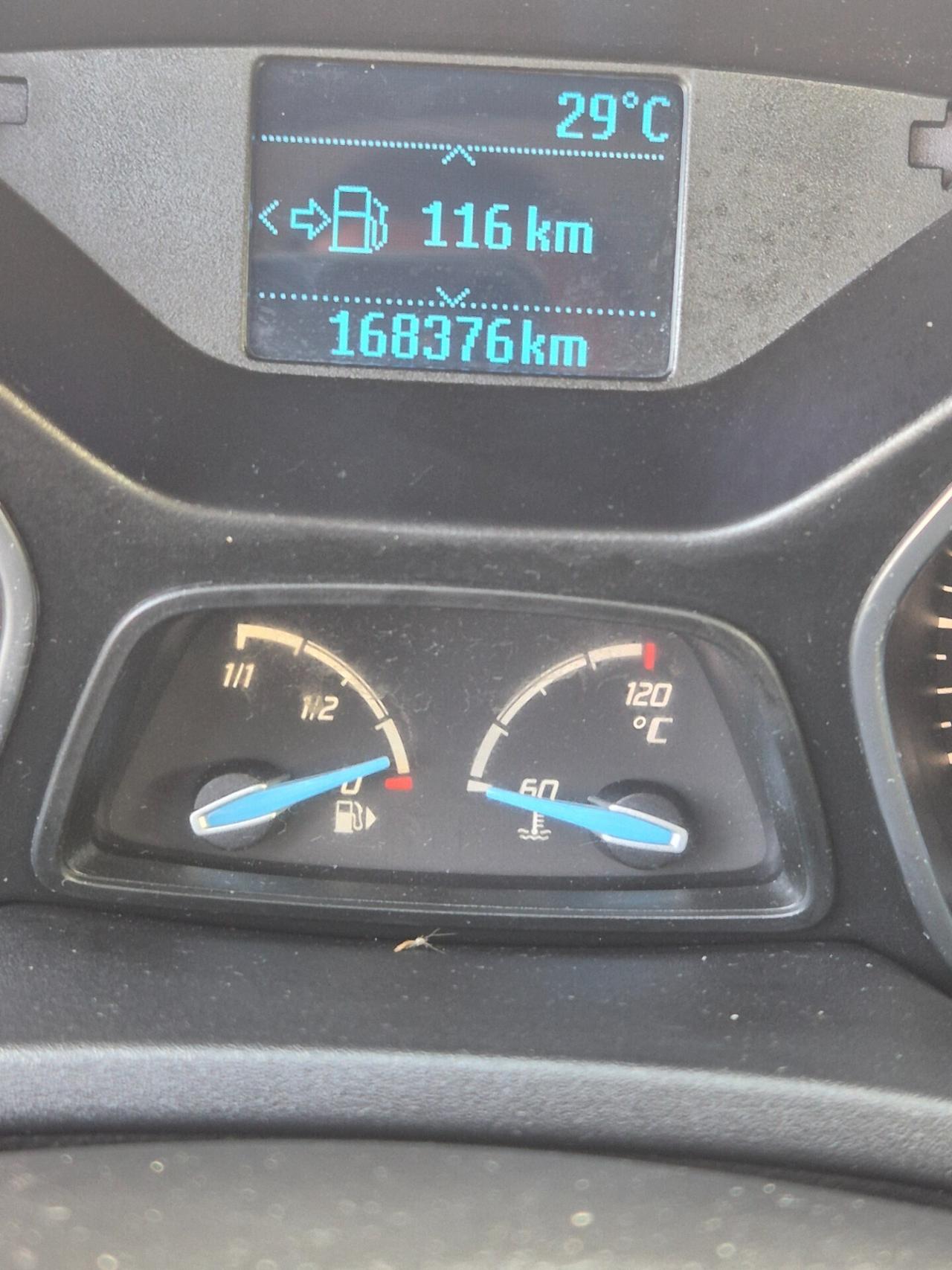 Ford Focus 1.6 TDCi 95 CV SW Titanium neopatentati