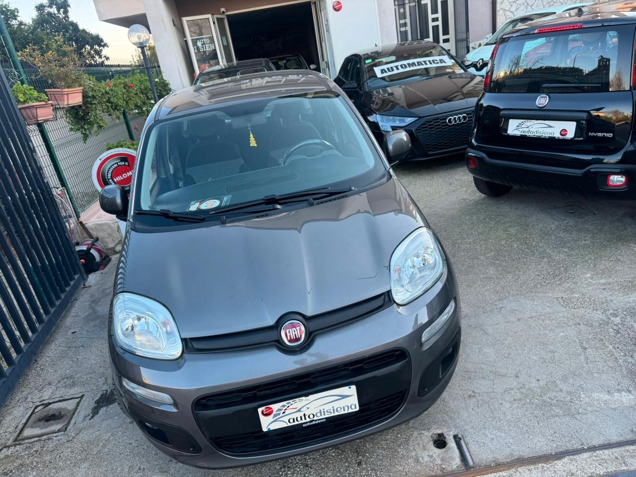 Fiat Panda 1.2 Lounge