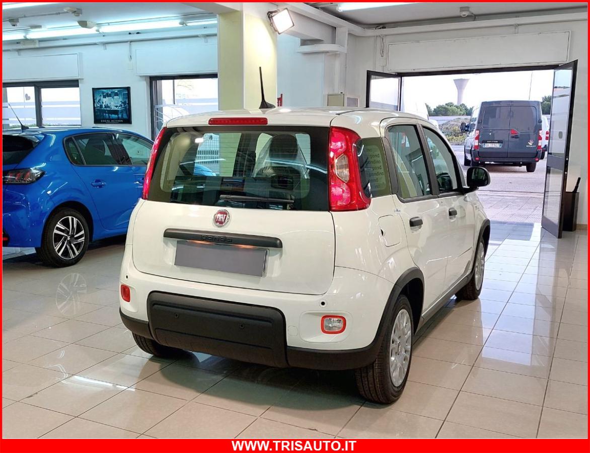 FIAT Panda 1.0 FireFly S&S Hybrid MY24 KM ZERO!!! IVATA NEOPATENTATI