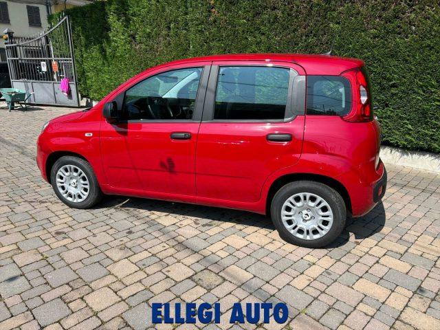FIAT Panda PROMO FINANZIAM 1.0 HYBRID ICON 5 posti KM 0