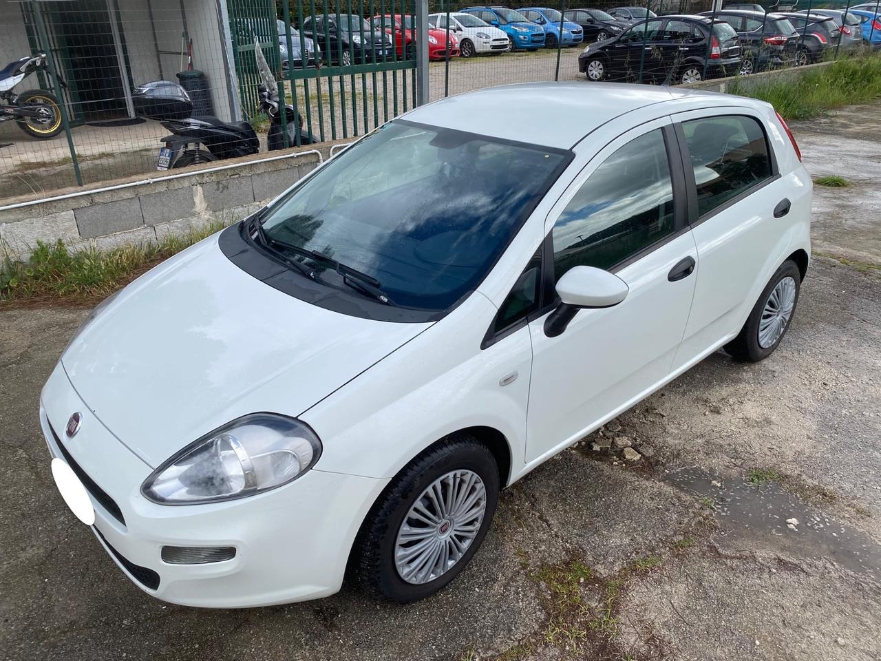 Fiat Punto 1.3 MJT II 85CV PASSAGGIO E 12 MESI GARANZIA