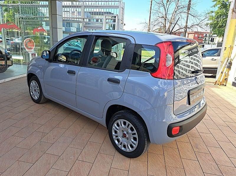 FIAT Panda Panda 1.2 Easy easypower Gpl 69cv