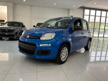 FIAT Pandina 1.0 FireFly 65 CV Hybrid Icon