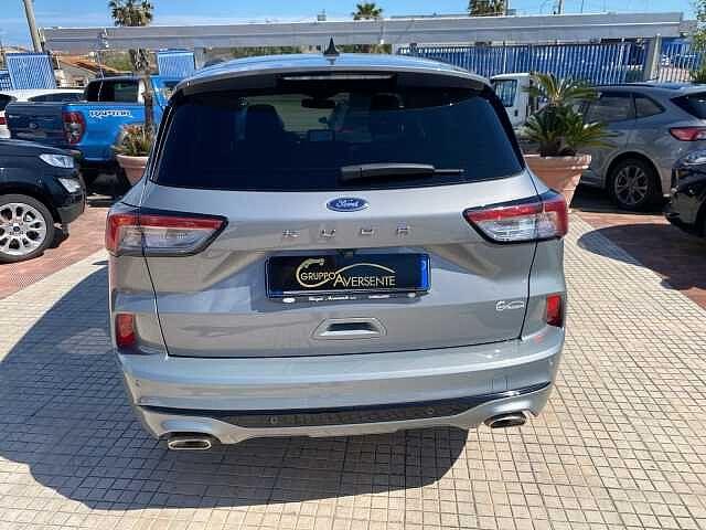 Ford Kuga 1.5 EcoBlue 120 CV 2WD ST-Line