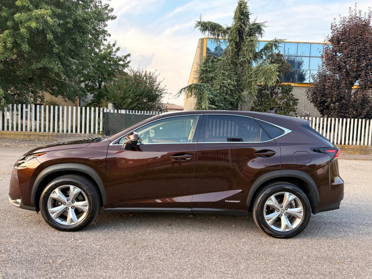Lexus NX 300h Hybrid 4WD F-Sport 2016