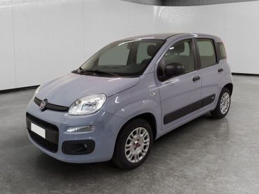 FIAT Panda 1.2 Easy easypower Gpl 69cv my19