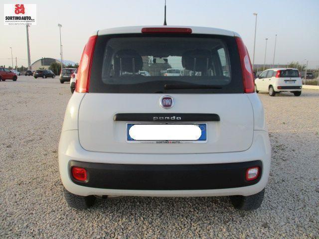 FIAT Panda 1.2 8v Easy S&S 69cv-2019 KM60000