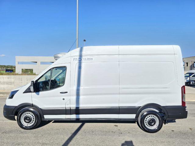 FORD Transit 350 2.0TDCi EcoBlue 170CV L3H3 FRIGO RIVACOLD -20°