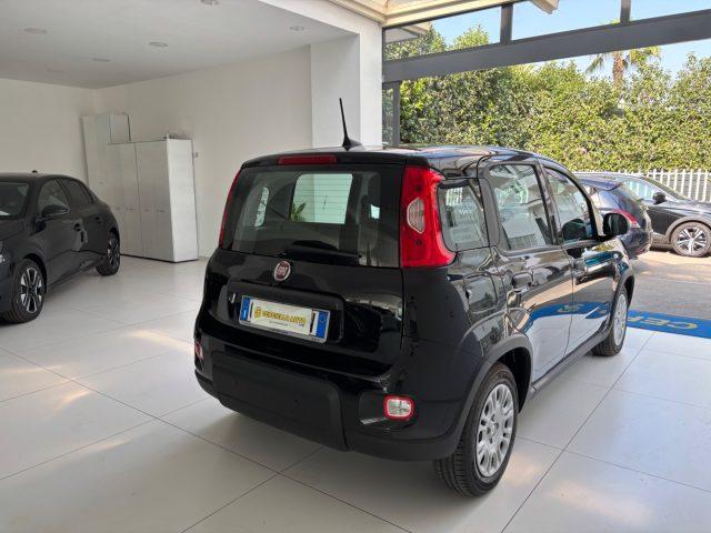 FIAT Panda 1.0 FireFly S&S Hybrid Pandina da ?139,00 mensili