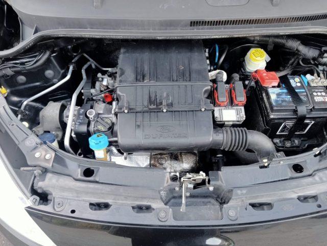 FORD Ka+ 1.2 8V 69CV GARANZIA 12 MESI *ok neopatentati*