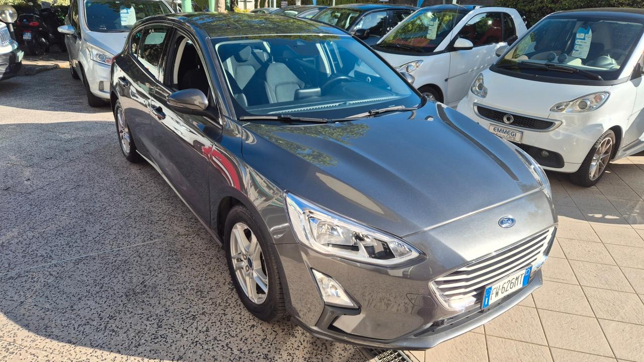 Ford Focus 1.5 EcoBlue 95 CV 5p. Business