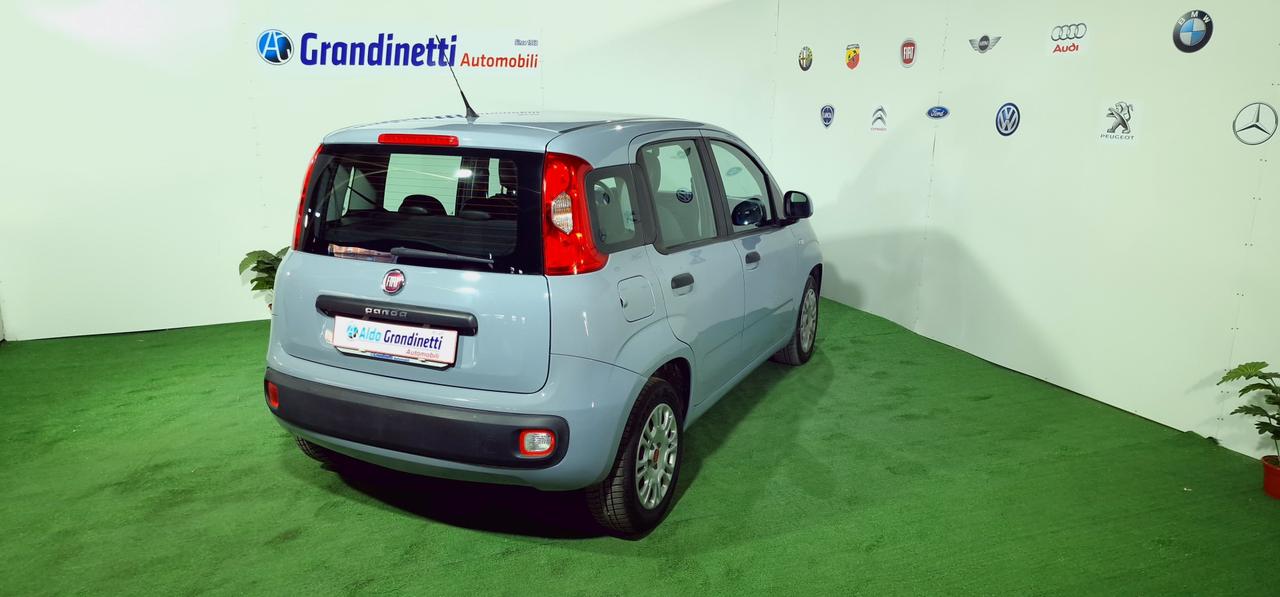 FIAT PANDA 1.3 95CV Easy ANNO 2017