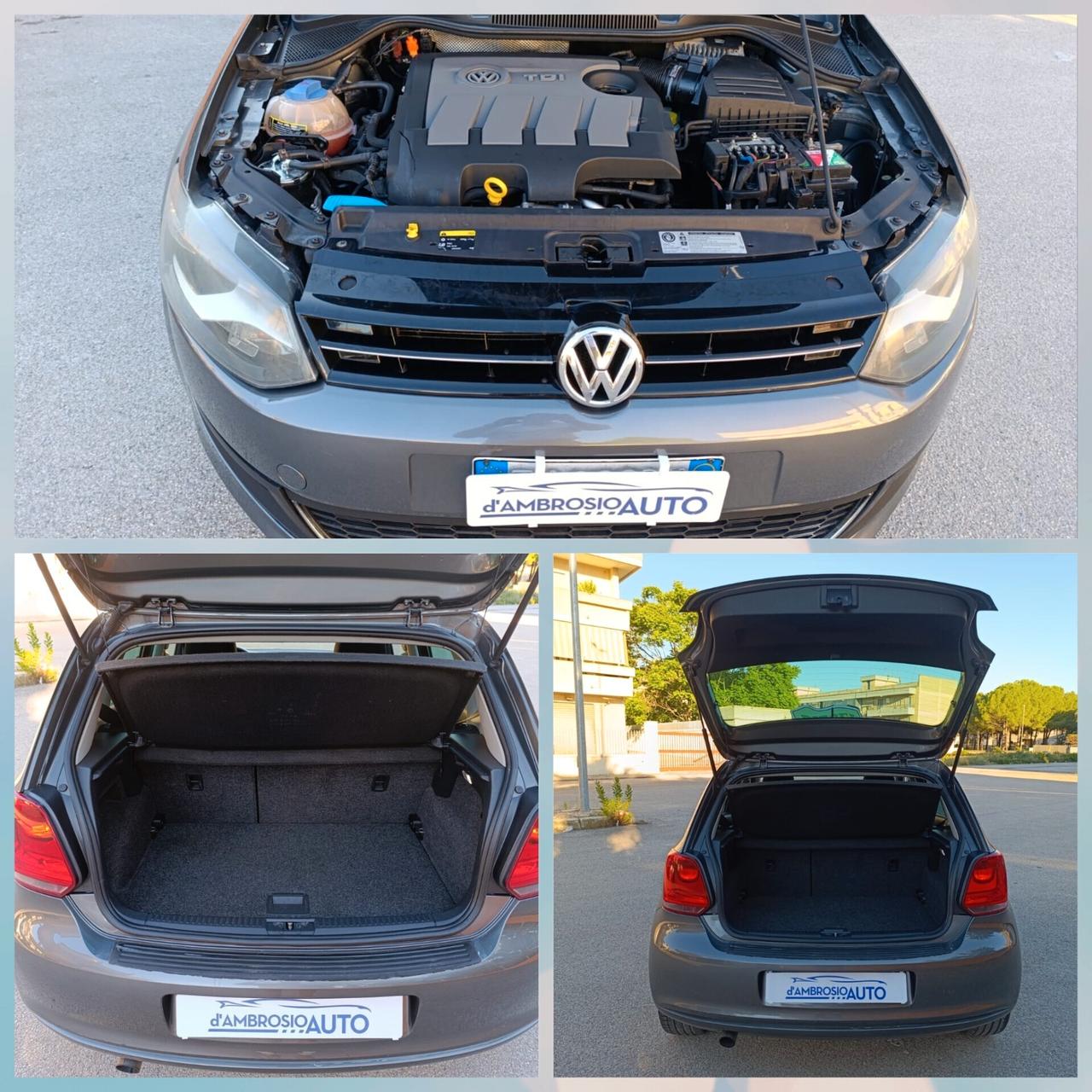 Volkswagen Polo 1.6 TDI 90CV 5pt DSG Automatica