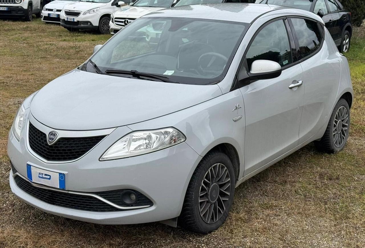 Ypsilon 1.3 MJT 16V 95 CV 5 porte S&S Platinum