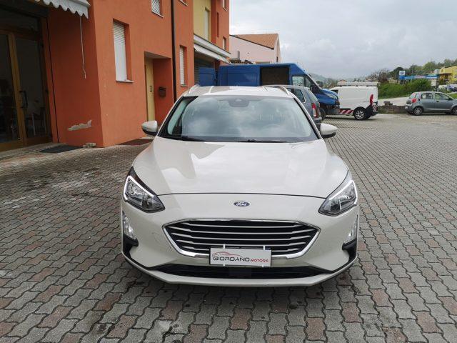 FORD Focus 1.5 EcoBlue 120 CV automatico SW Business Co-Pilot
