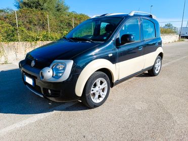 Fiat Panda 1.2 Climbing Natural Power