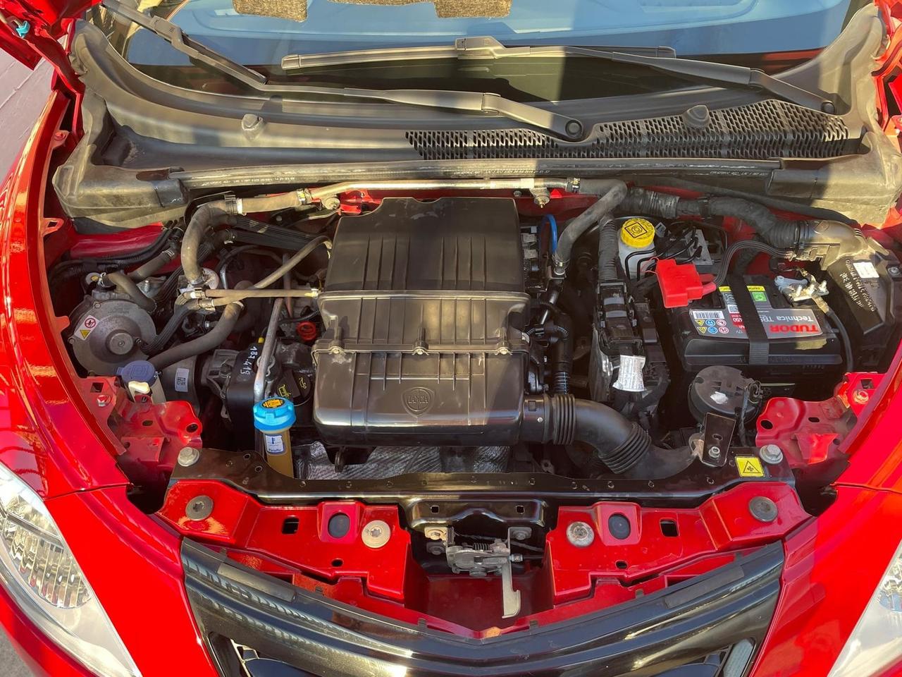 Lancia Ypsilon 1.2 69 CV 5 porte GPL Ecochic Elefantino