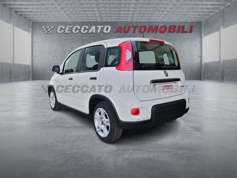 FIAT Panda Panda 1.0 firefly hybrid s&s 70cv