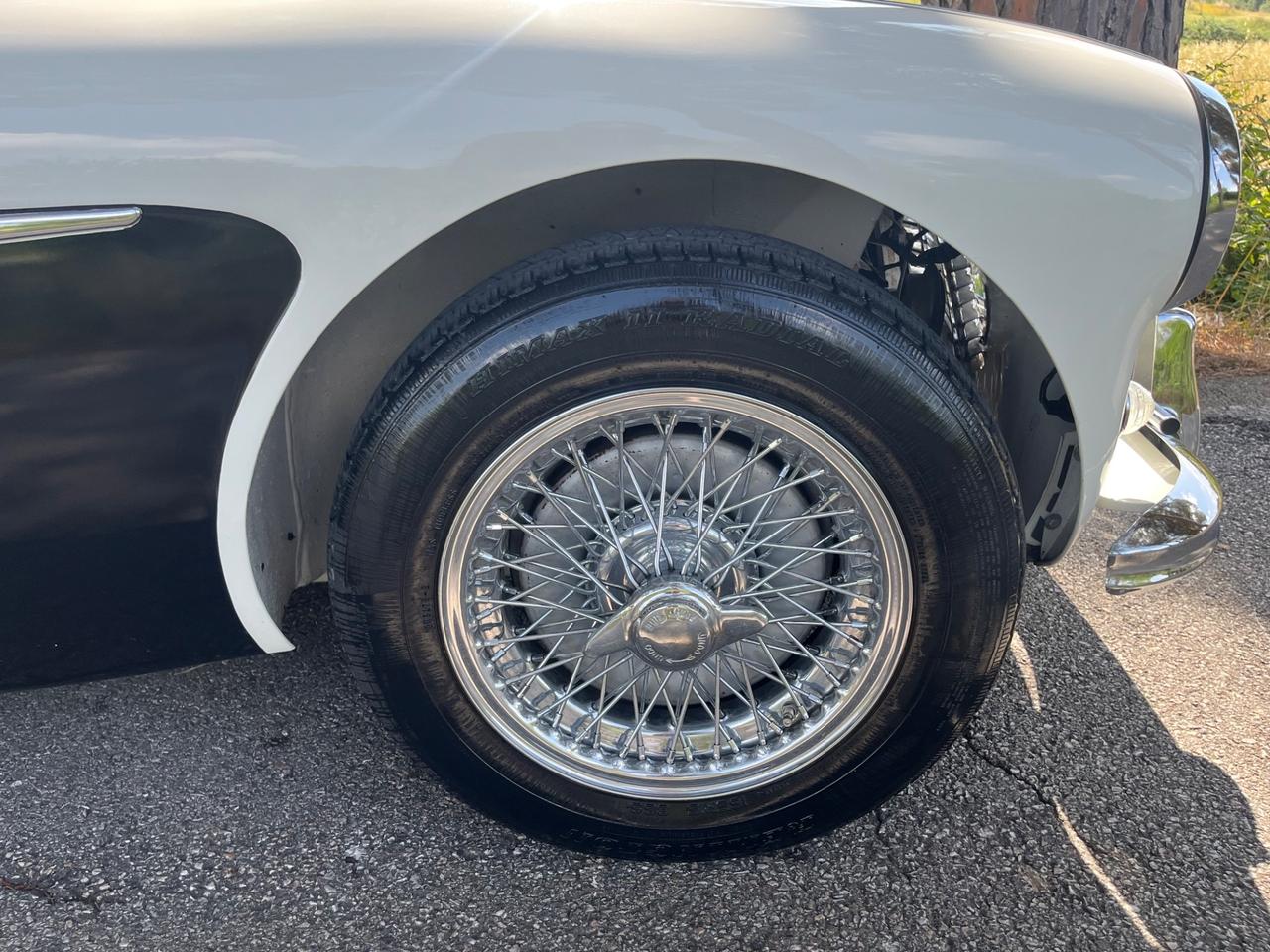Austin Healey 100/6 BN4 2700 ASI
