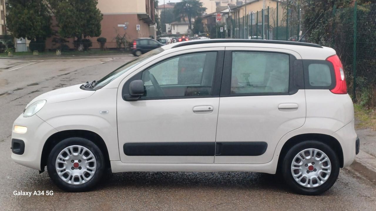 Fiat Panda 1.2 Lounge ( 12 mesi di garanzia)