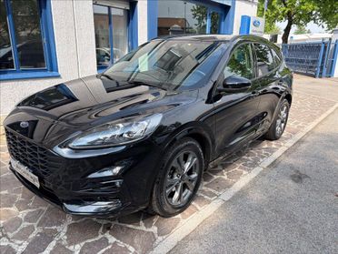FORD Kuga 2.0 ecoblue ST-Line X 2wd 120cv auto del 2023