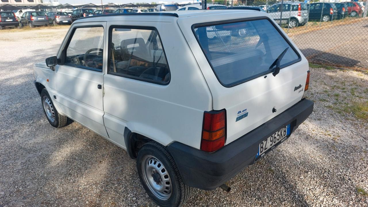 Fiat Panda 1100 i.e. cat Young