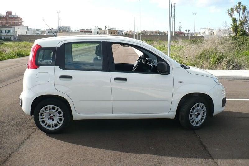 FIAT Panda Panda 1.2 Easy