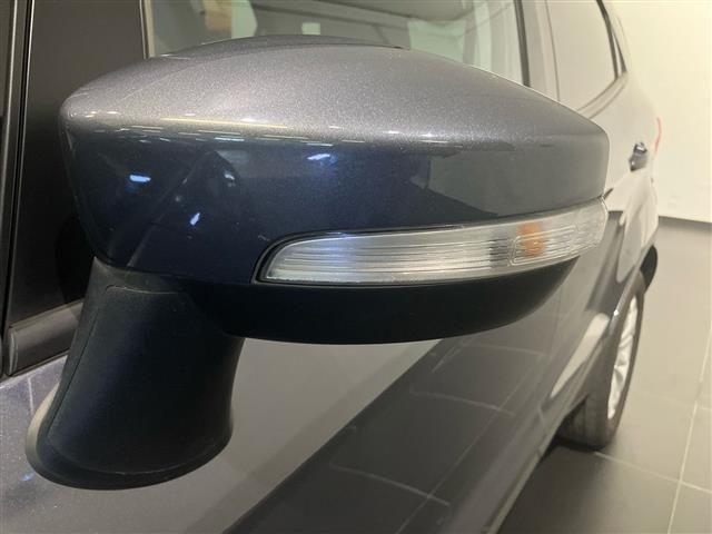 FORD EcoSport 1.0 EcoBoost 125cv Business c/navi