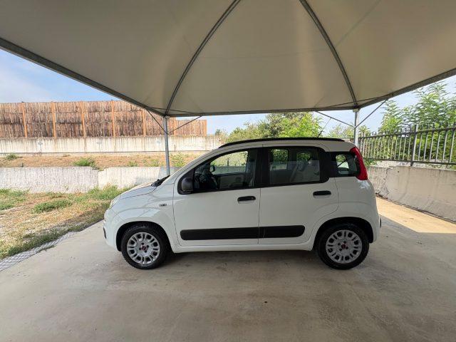 FIAT Panda 1.2 Easy EURO 5 BENZ OK NEOPATENTATI PRONTA CONS.
