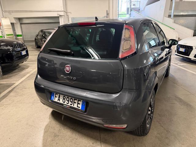 FIAT Punto 1.2 8V 5 porte Young
