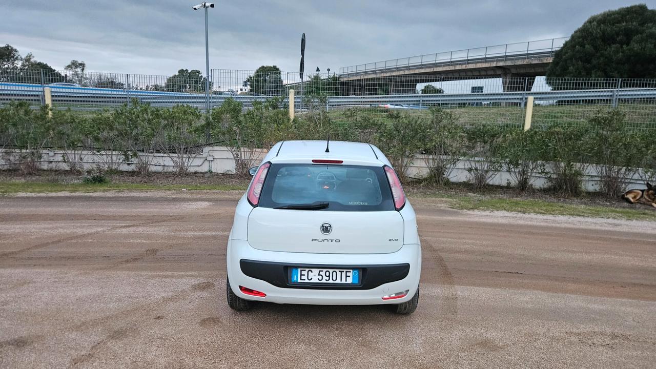 Fiat Punto Evo 1.3 Mjt 90 CV DPF 5 porte S&S Dynamic