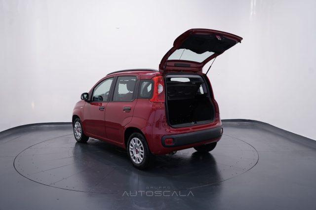 FIAT Panda 1.2 69cv Easy