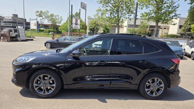FORD Kuga 2.5 Plug In Hybrid 225 CV CVT 2WD ST-Line X PERMUT