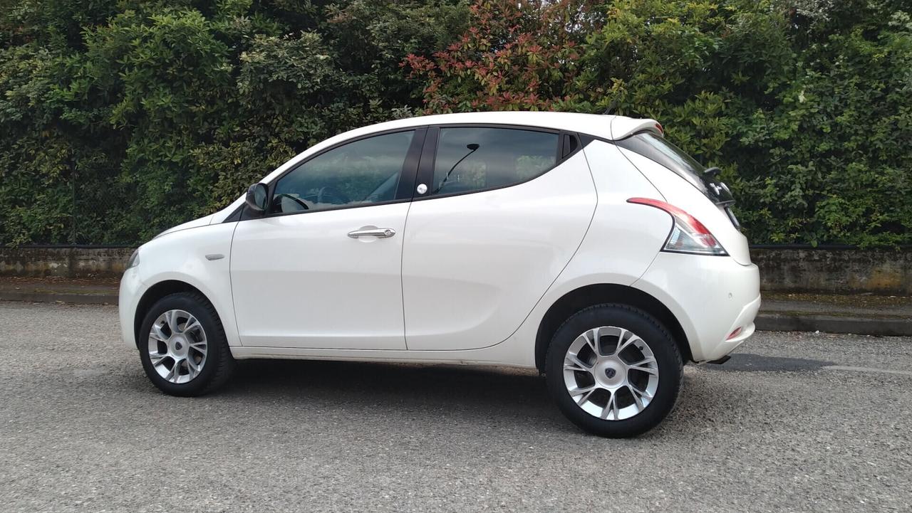 Lancia Ypsilon 0.9 TwinAir 85 CV 5 porte Metano Ecochic Platinum