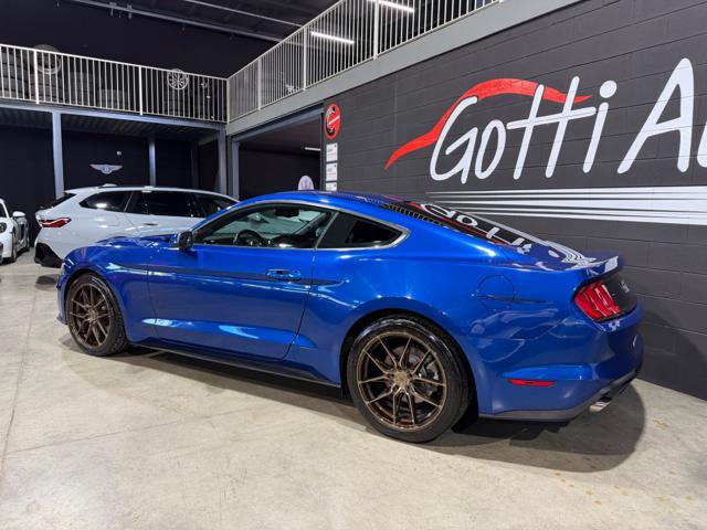 FORD Mustang RESTYLING FASTBACK 2.3 TARGATA CARBONIO JAPAN RACE