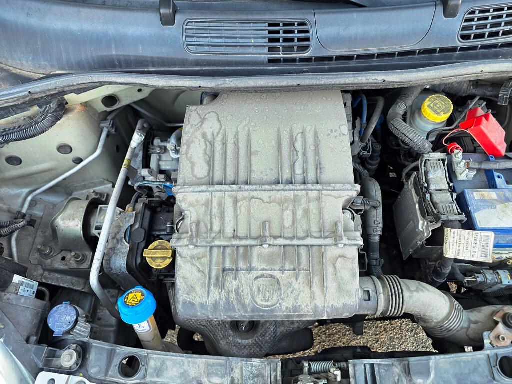 Fiat Panda 1.2 Lounge IDEALE PER NEO PATENTATI