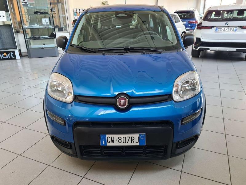 FIAT Panda 1.0 FireFly 70cv S&S Hybrid Pandina