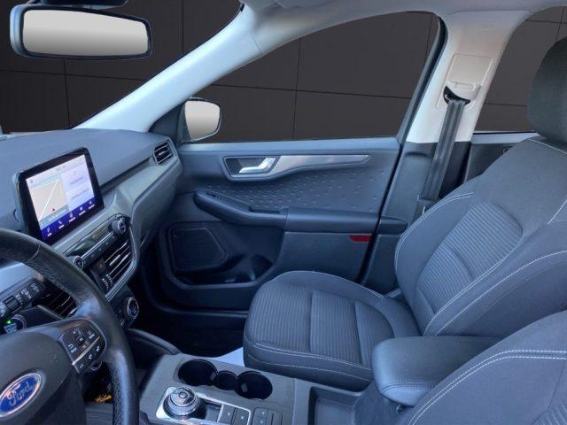 FORD Kuga 1.5 EcoBlue 120 CV 2WD Titanium