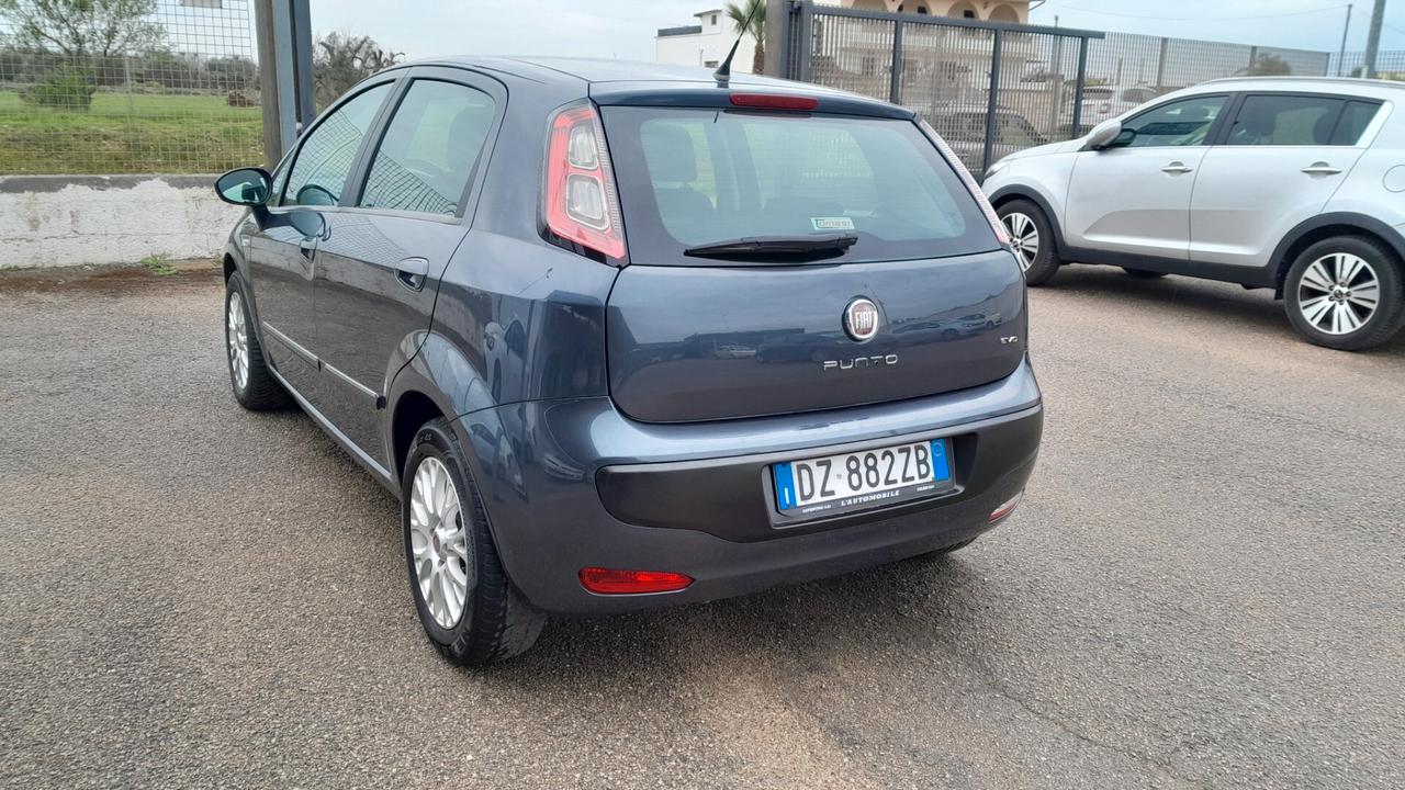Fiat Punto Evo 1.3 Mjt 75 CV 5 porte Dynamic