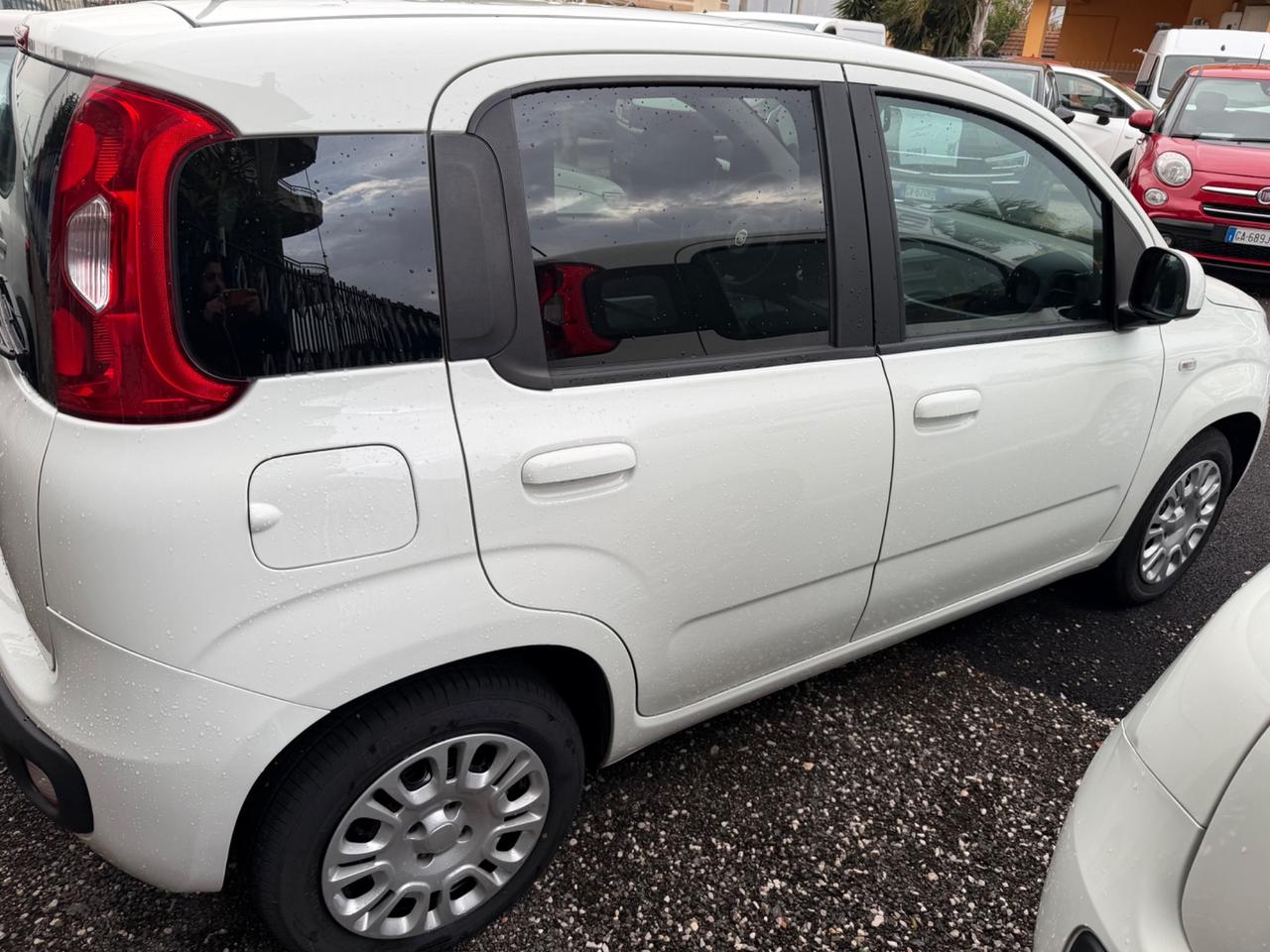 Fiat Panda 1.2 Easy Van 4 posti