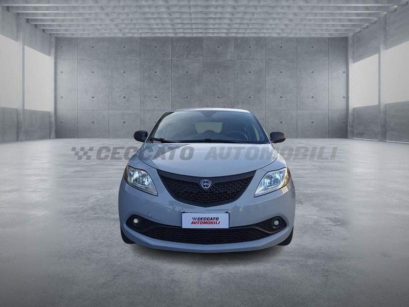 Lancia Ypsilon Ypsilon 1.2 Gold ecochic Gpl 69cv my19