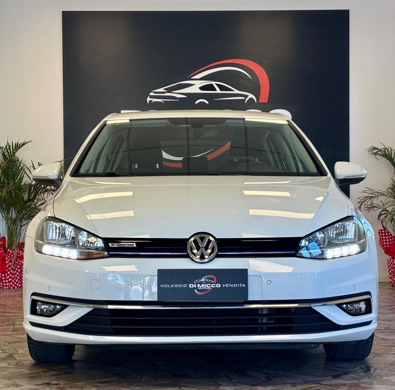 Volkswagen Golf 1.4 TGI 5p. Executive BlueMotion