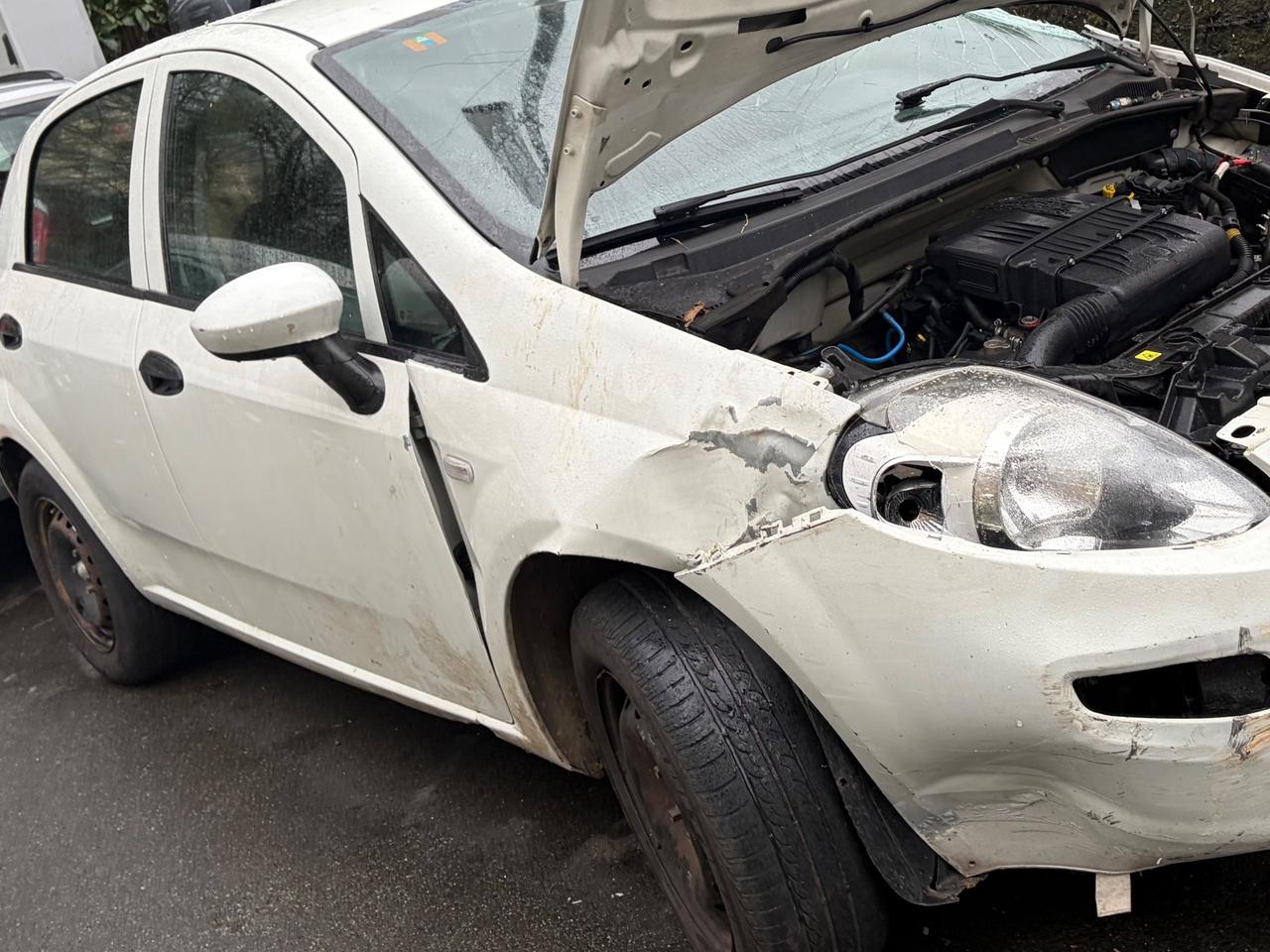 Fiat Punto 1.2 8V 5 porte km 90.000 - 2016 euro6