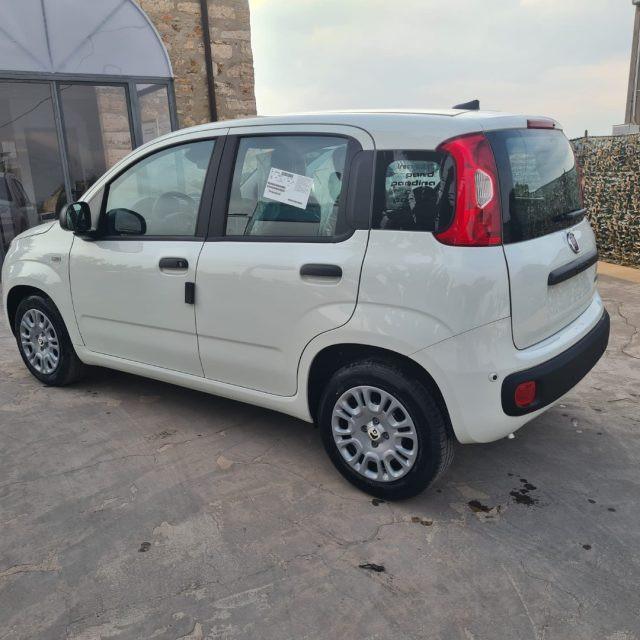 FIAT Pandina 1.0 FireFly 65 CV Hybrid Icon