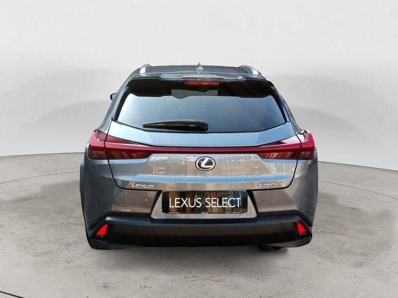 Lexus UX 250 Hybrid Premium 2WD