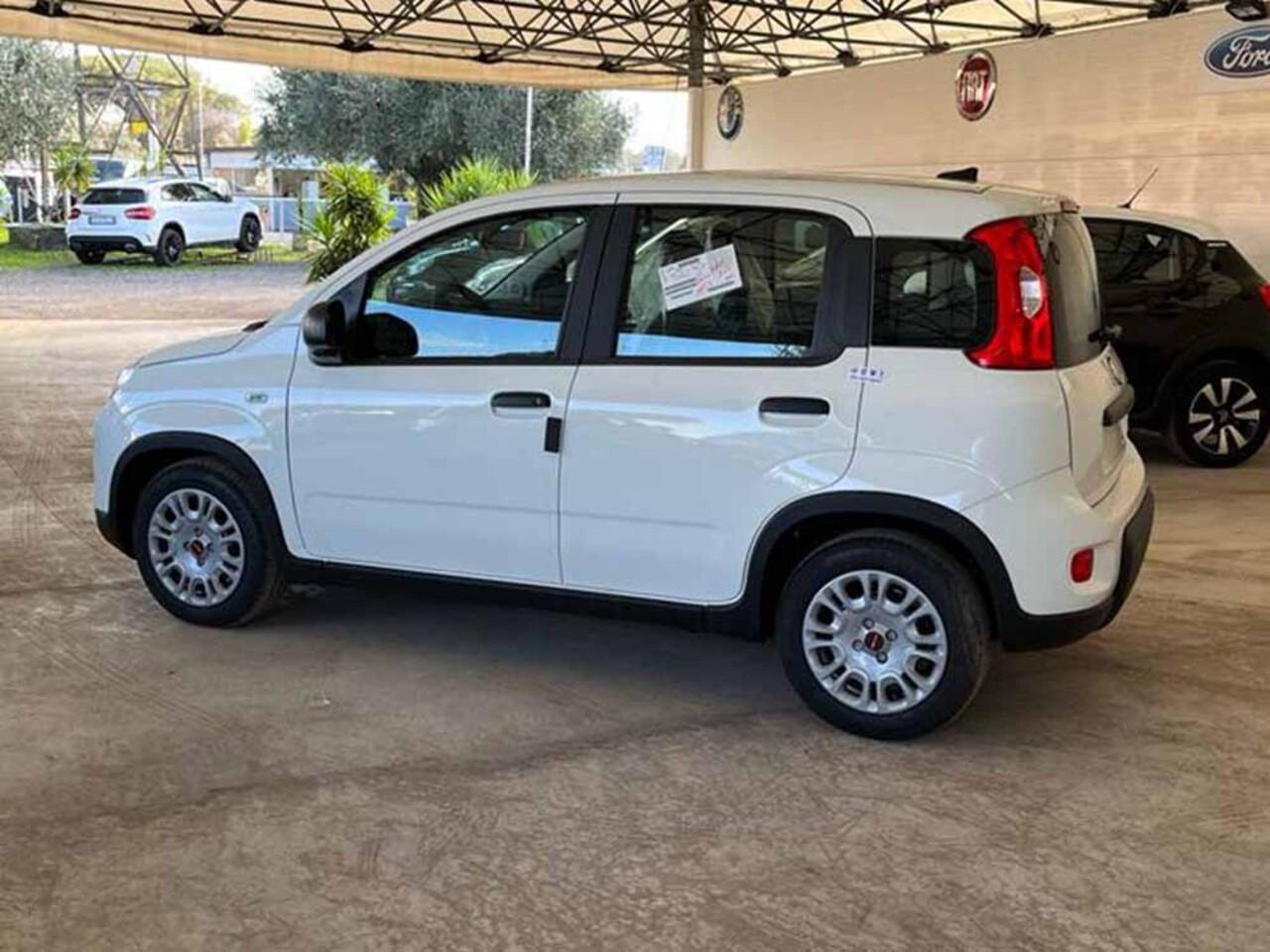 FIAT Panda III 2021 - Panda 1.0 firefly hybrid s&s 70cv